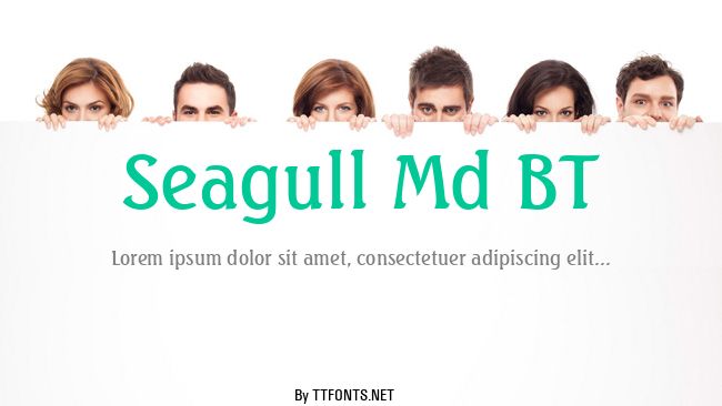 Seagull Md BT example